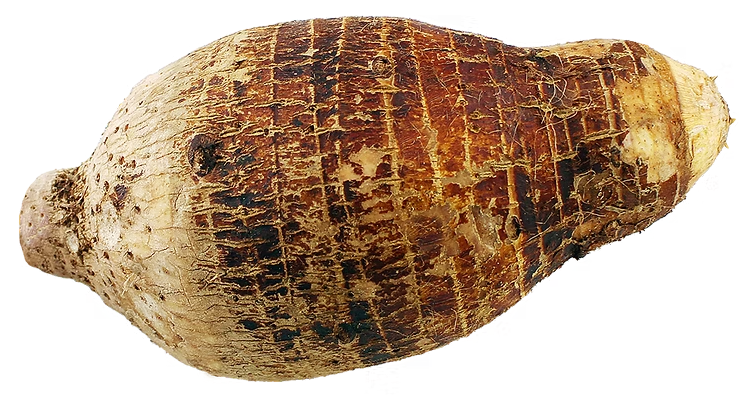 Taro/ ပိန်းဥ (28-33lb)