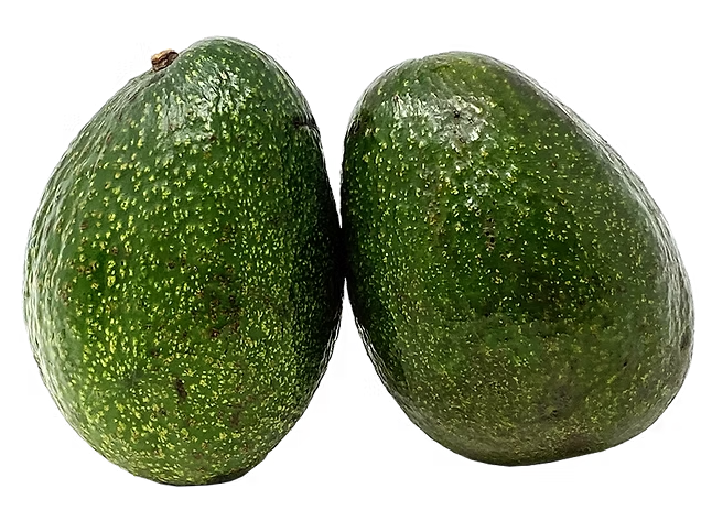 Avocado/ ထောပတ်သီး