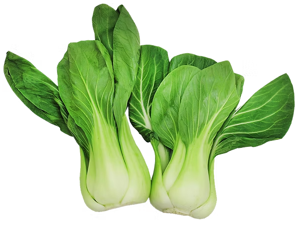 Shangai choy tip ဆလပ်ရွက်တစ်မျိုး (20-25 lb)