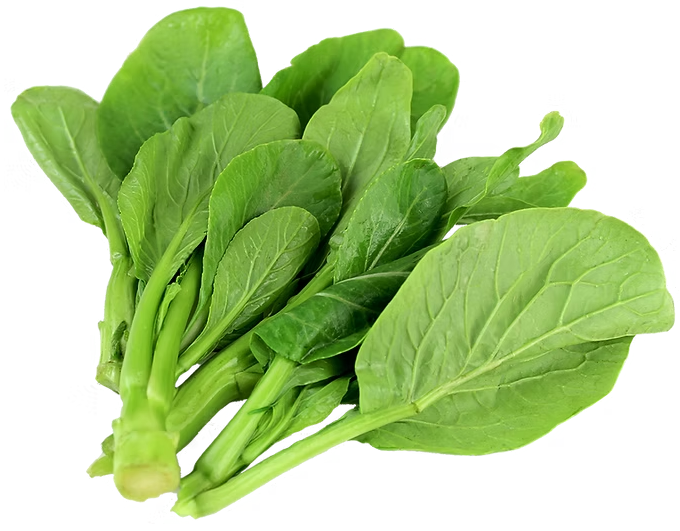 U choy tip ဆလပ်ရွက်တစ်မျိုး (1 lb)