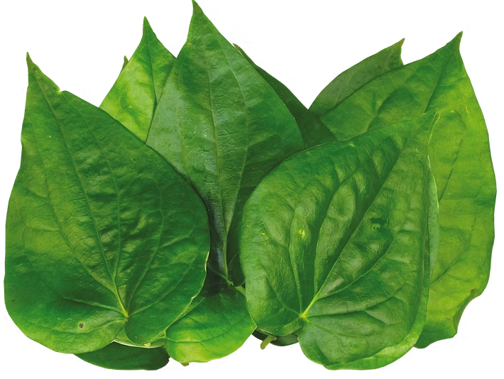 Pan/betel leaves ကွမ်းရွက် (10 lb)