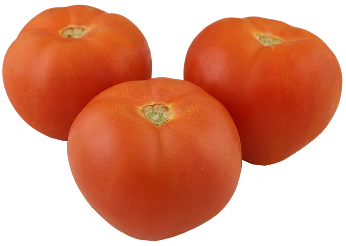 Tomato ခရမ်းချဉ်သီး (20-25 lb)