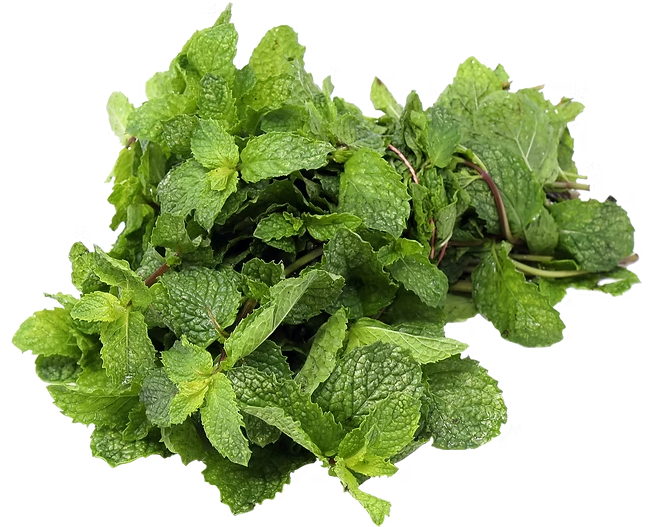 Peppermint herb leaves (rau hung/ပူစီနံရွက်) (12 pcs)