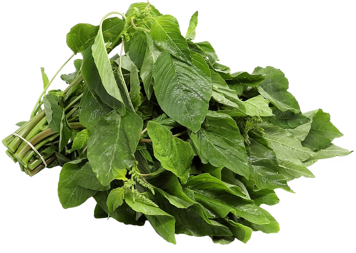 green callaloo ဟင်းနုနွယ်(အစိမ်း) (10-15 lb)