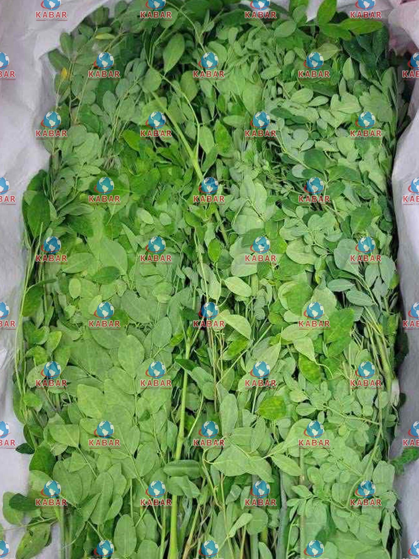 ပြည်ပန်းညို