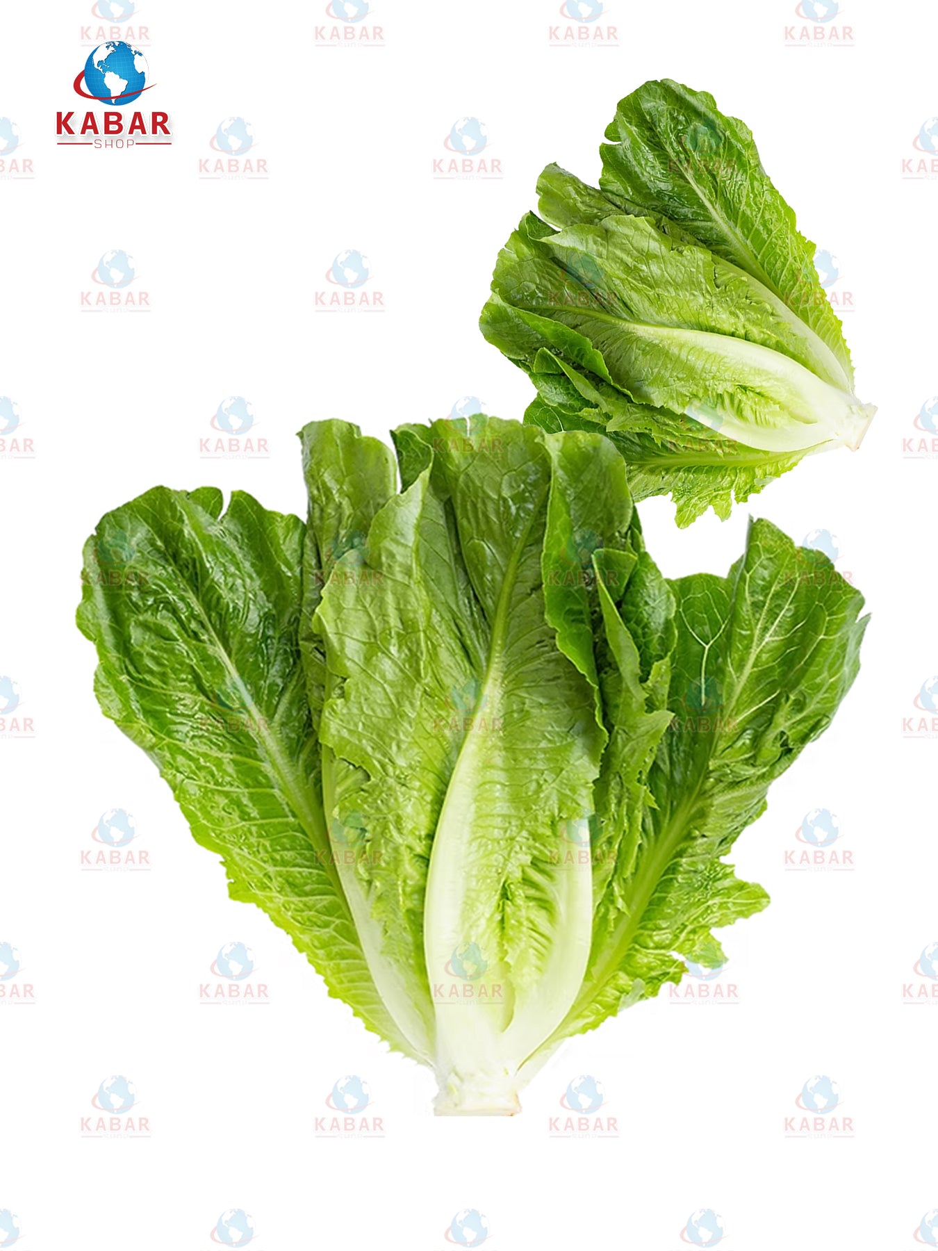 ဆလပ်ရွက်