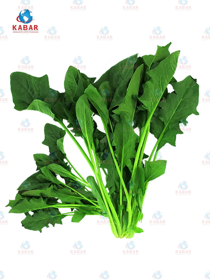 Taiwan Spanich ဆလပ်ရွက်တစ်မျိုး (20-25 lb)