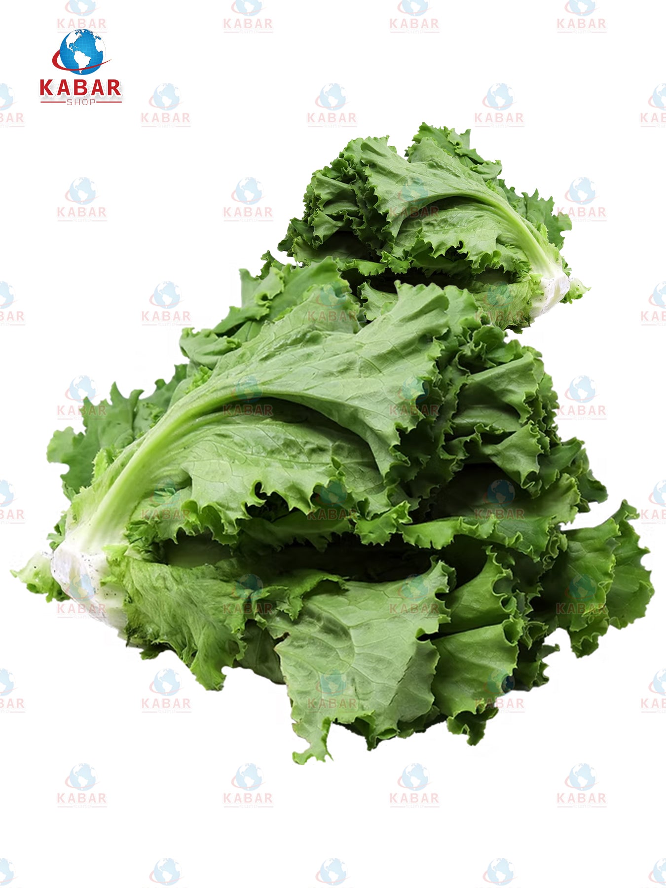 Lettuce green ဆလပ်ရွက် (1 pcs)