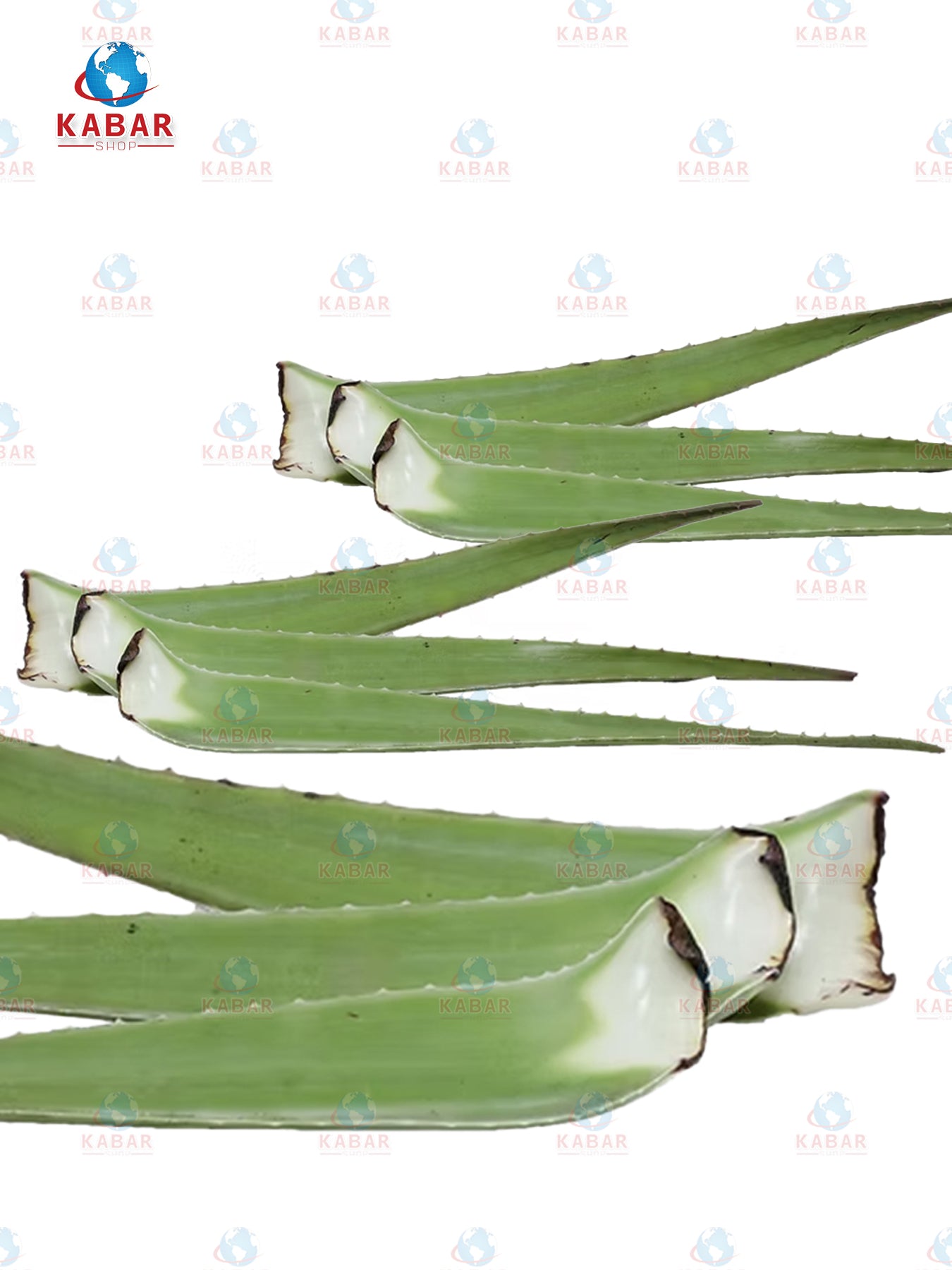 ရှားစောင်းလက်ပတ်