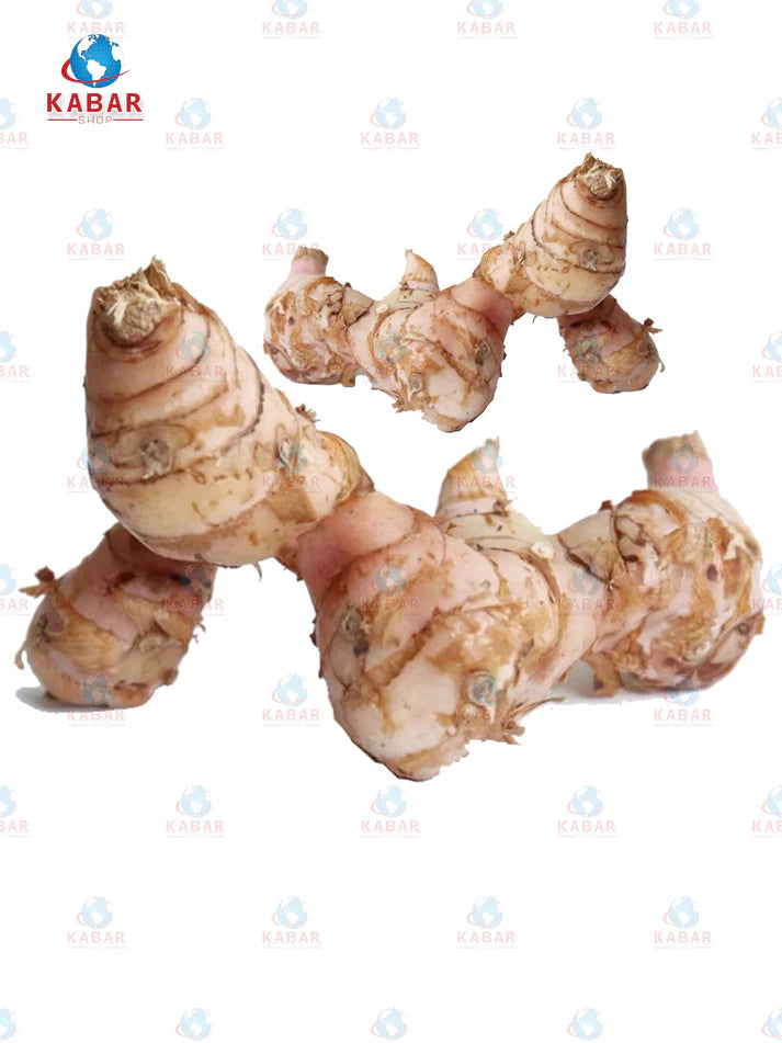 Galanga ပဒကောဥ (30 lb)