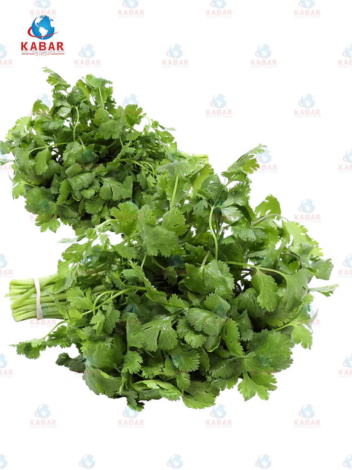 Cilanro နံနံပင် (60 pcs)