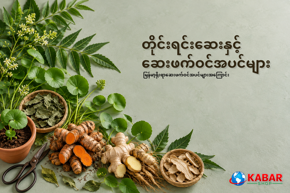 မြန်မာ့ရိုးရာဆေးဖက်ဝင်အပင်များအကြောင်း သိကောင်းစရာ