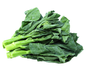 Gai Lan/  ကိုက်လံရွက်