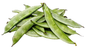 Valor beans/  ပဲပြားသီး