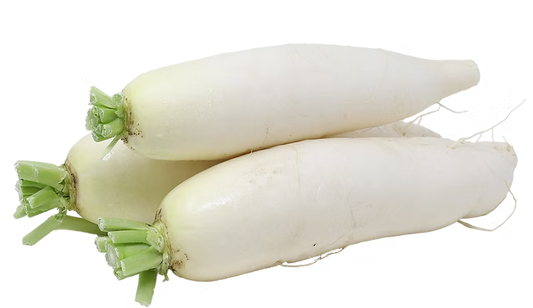 Raddish/  မုန်လာဥ