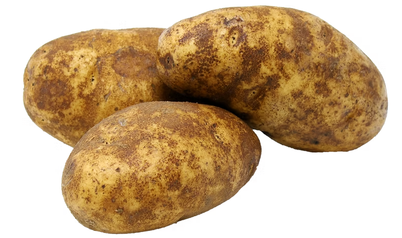 Idaho Potatoes/  အာလူး