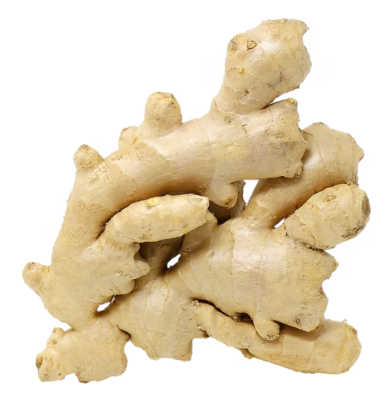 Ginger /  ဂျင်း