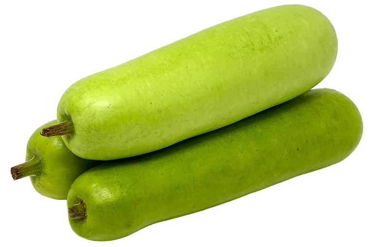 Opo Squash/  ဗူးသီးတို