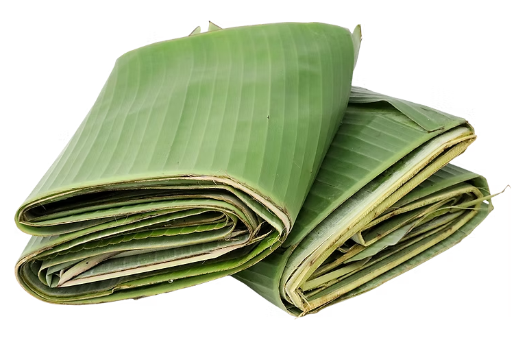 Banana Leaf/  ငှက်ပျောက်ရွက်