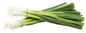 Onion leaves ကြက်သွန်မြိတ် (48 pcs)