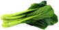U choy sum ဆလပ်ရွက်တစ်မျိုး (1 lb )