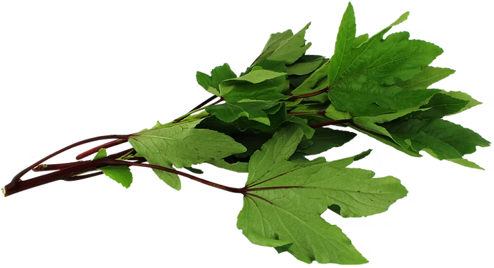Roselle leaves (gongura)/ ချဉ်ပေါင်ရွက် (10 lb)