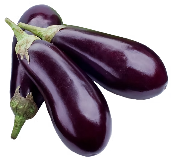 American Eggplants ကတီပါခရမ်းသီး ((21lb)