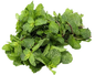 Peppermint  herb leaves (rau hung/ပူစီနံရွက်) (12 pcs)