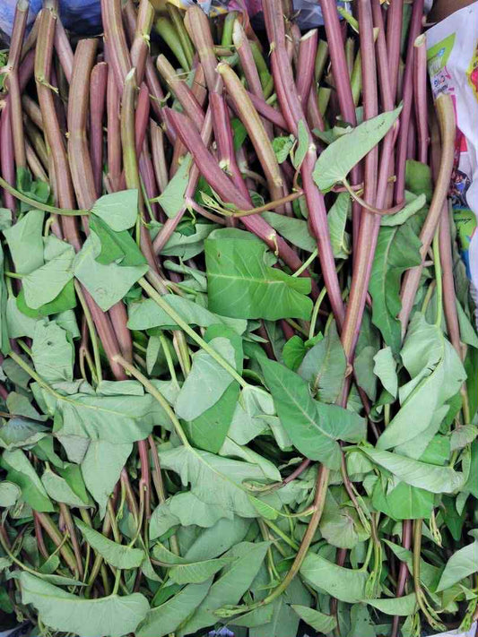 Potata leaves  ကန်စွန်းရွက် (25 lb/40 lb)