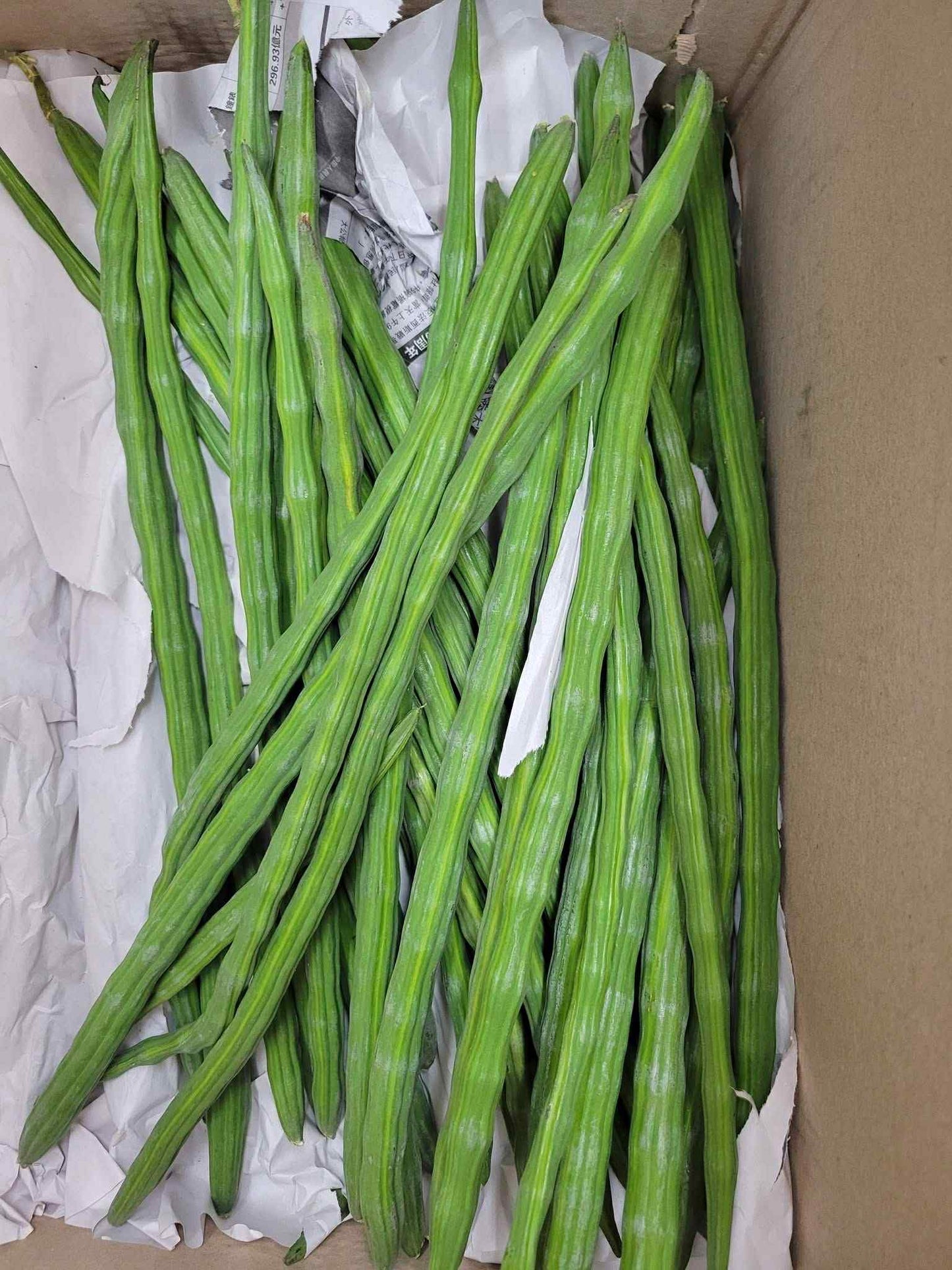 Drumstick ဒန့်သလွန်သီး (20-25lb)