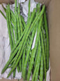 Drumstick ဒန့်သလွန်သီး (20-25lb)