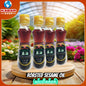 နှမ်းဆီစစ်စစ် Roasted Sesame Oil