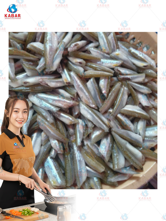 baby round scad အဝိုင်းငါးလေး