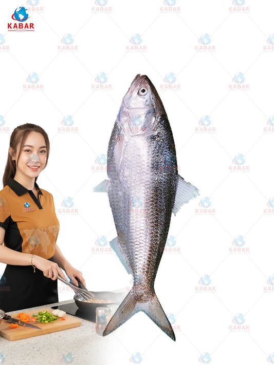 hilsa fish ငါးသလောက် 15*2lb/ 33lb