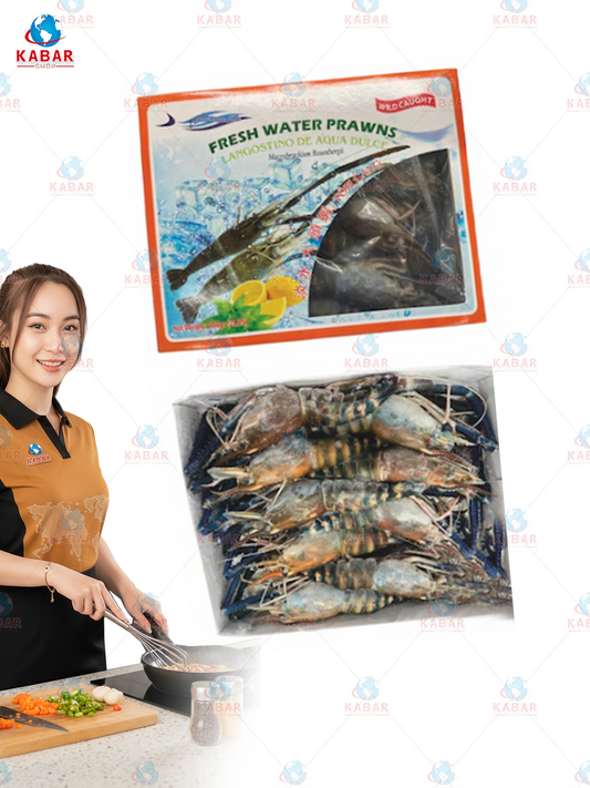 freshwater prawn shrimp/ 12*2lb ပုစွန်တုတ်