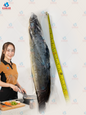 head-on catfish ငါးခူ 30lb