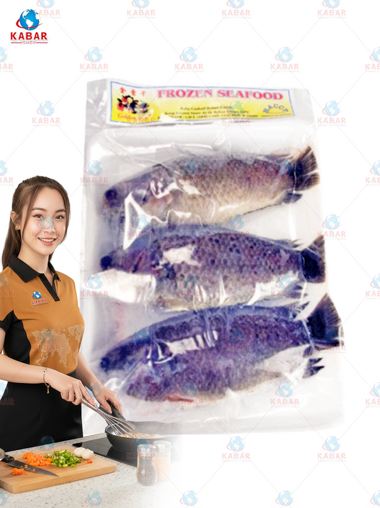 climbing perch (pla moh) ငါးဗြီမ 36 x 8.8 oz