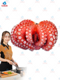 whole octopus ရေဘ၀ဲ 30lb