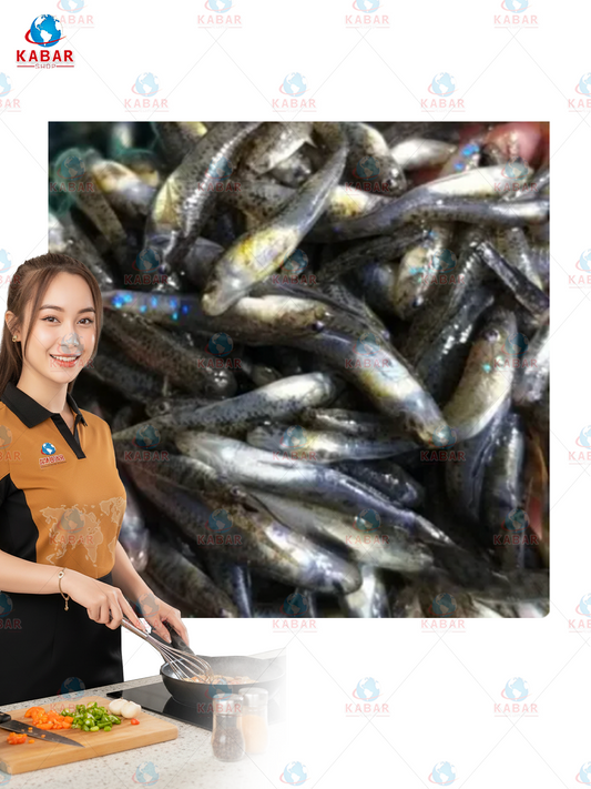 MARBLE GOBY fish ငါးသေး 60* 7oz