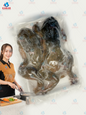 two fresh frogs ဖား ၂ကောင်တွဲ 32* 2pcs