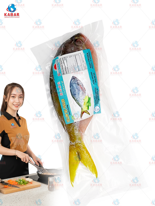 yellow tail fusalier အမြီးအဝါရောင် ငါး 33lb