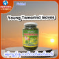 မကျည်းနု Young Tamarind Leaves