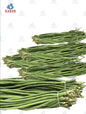 Green long bean ပဲတောင့်ရှည်(အစိမ်း) (1 pcs)