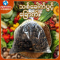 သစ်ခေါက်ပွင့် ( မြန်မာ့အစားအစာ)