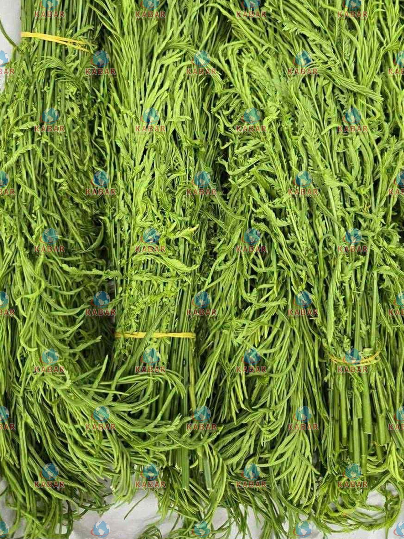 ဆူးပုတ်