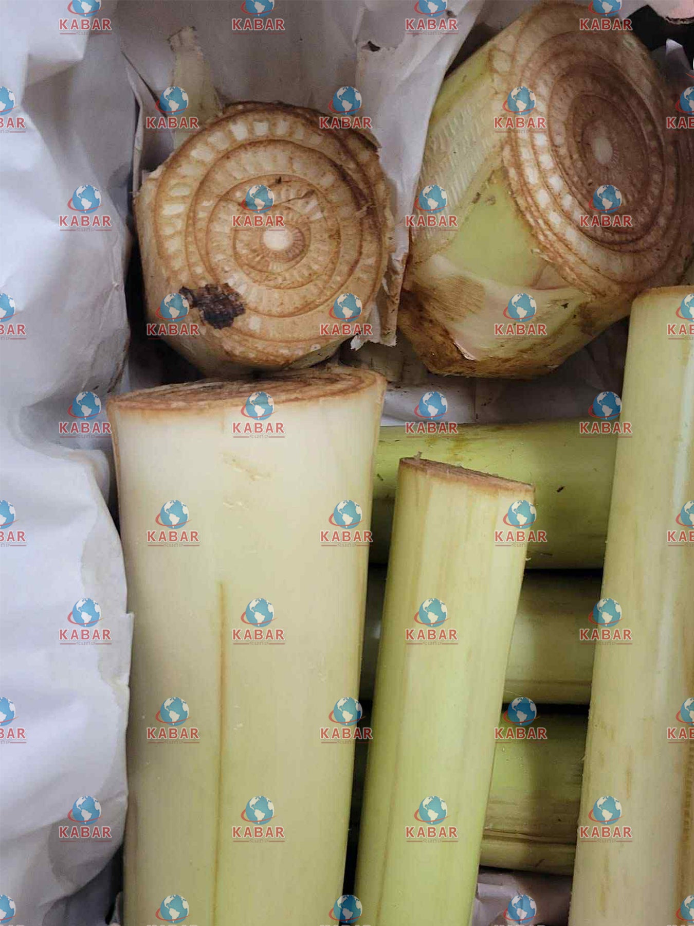 ငှက်ပျောအူ