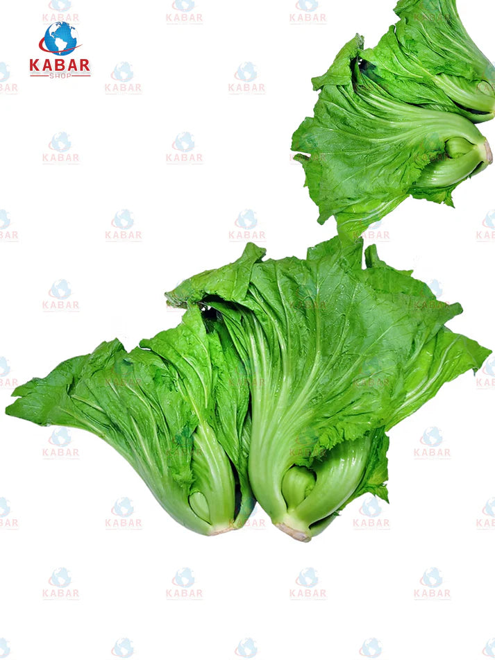 Gai Choy  ဆလပ်ရွက်တစ်မျိုး (20-25 lb/30-35 lb)