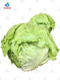 Lettuce ဆလပ်ရွက် (1 pcs)