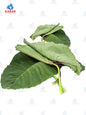 Taro leaves ပိန်းရွက် (1 lb)