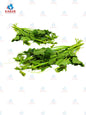 Pumpkin leaves ရွှေဖရုံရွက် (10 lb)